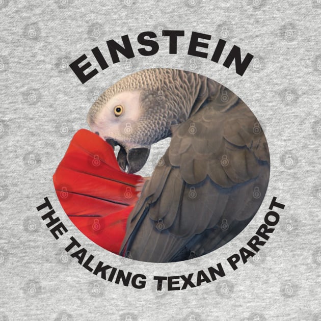 Logo of Einstein the Talking Texan Parrot by Einstein Parrot